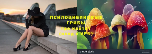 твердый Белокуриха