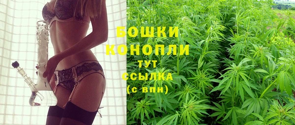 твердый Белокуриха