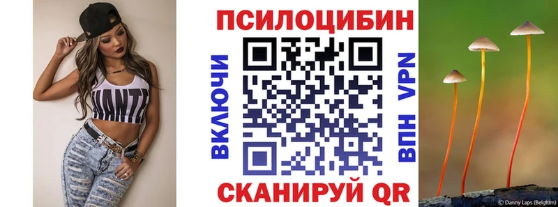 Псилоцибиновые грибы Psilocybine cubensis  Верещагино 